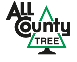 All County Tree